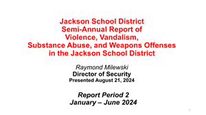 violence and vandalism report cover